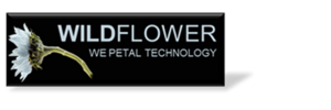 Wildflower International Ltd. 