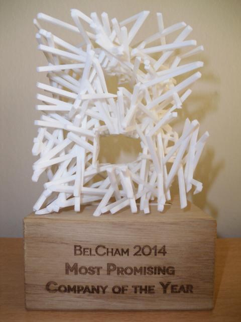BelCham2014Award.preview_0.JPG