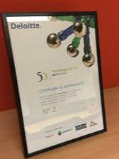 Deloitte Fast 50 2015